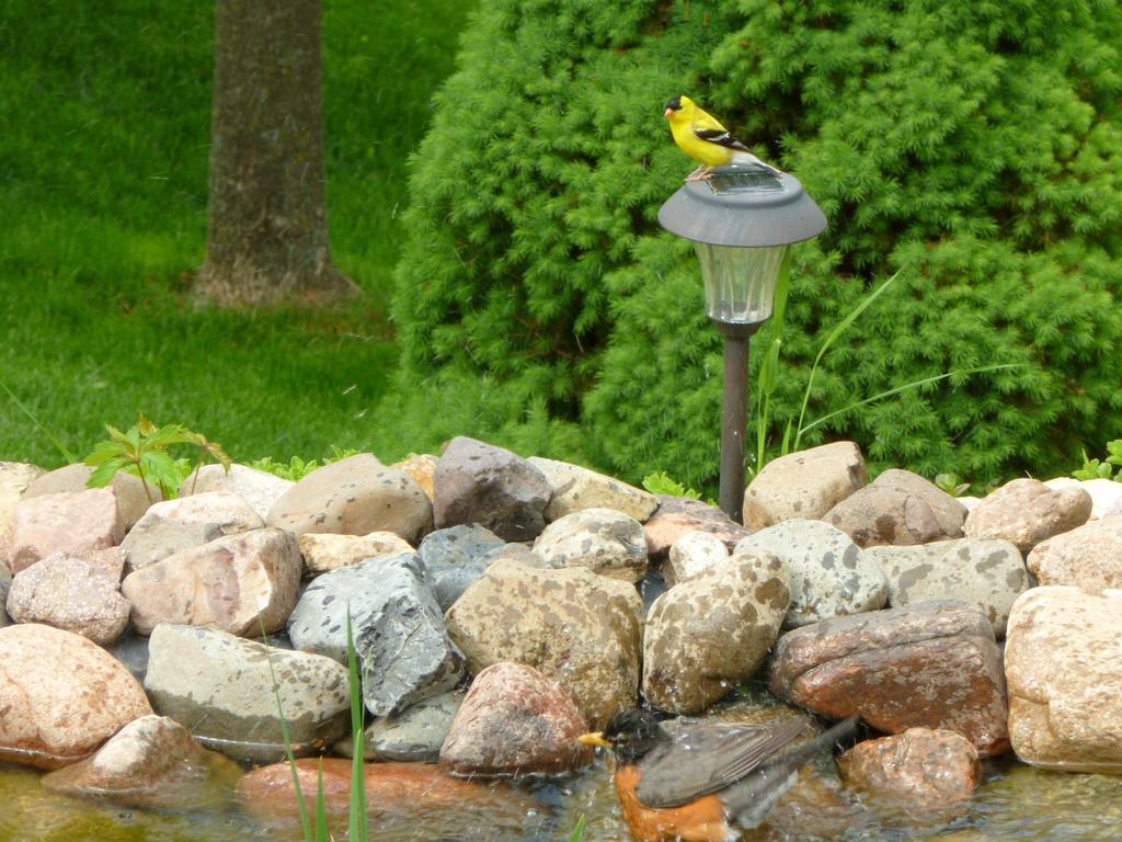 Trickling Waters Retreat Villa Marquette Exterior foto