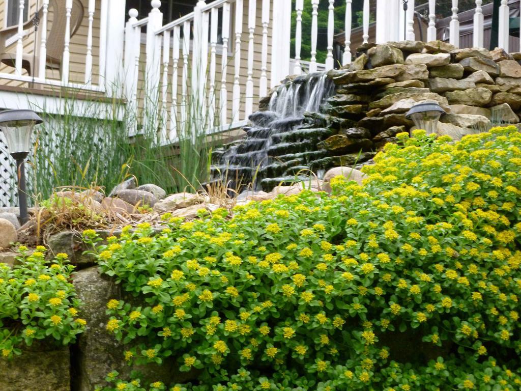 Trickling Waters Retreat Villa Marquette Exterior foto