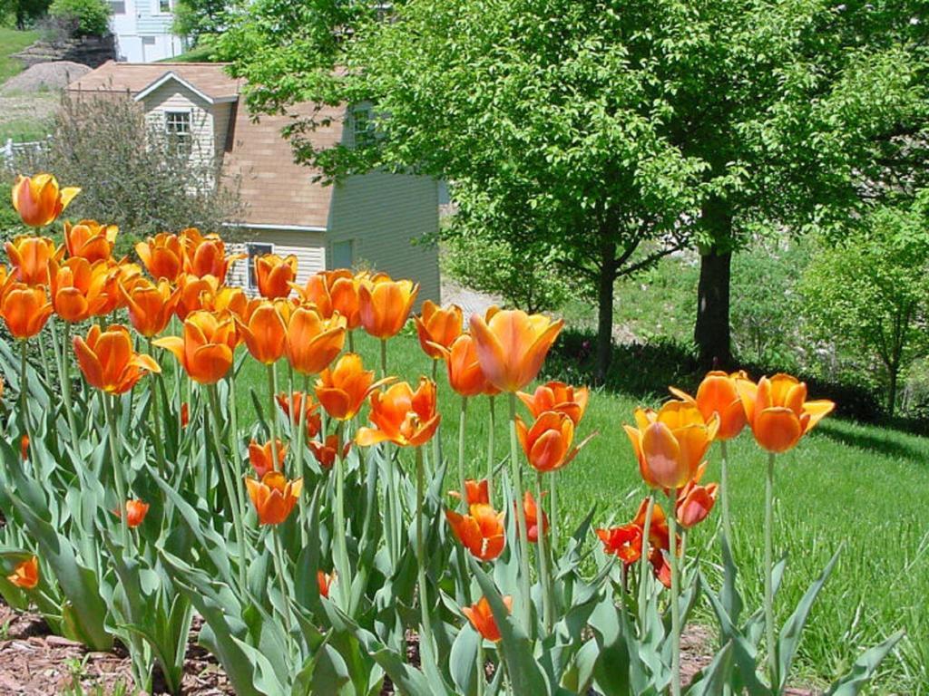 Trickling Waters Retreat Villa Marquette Exterior foto