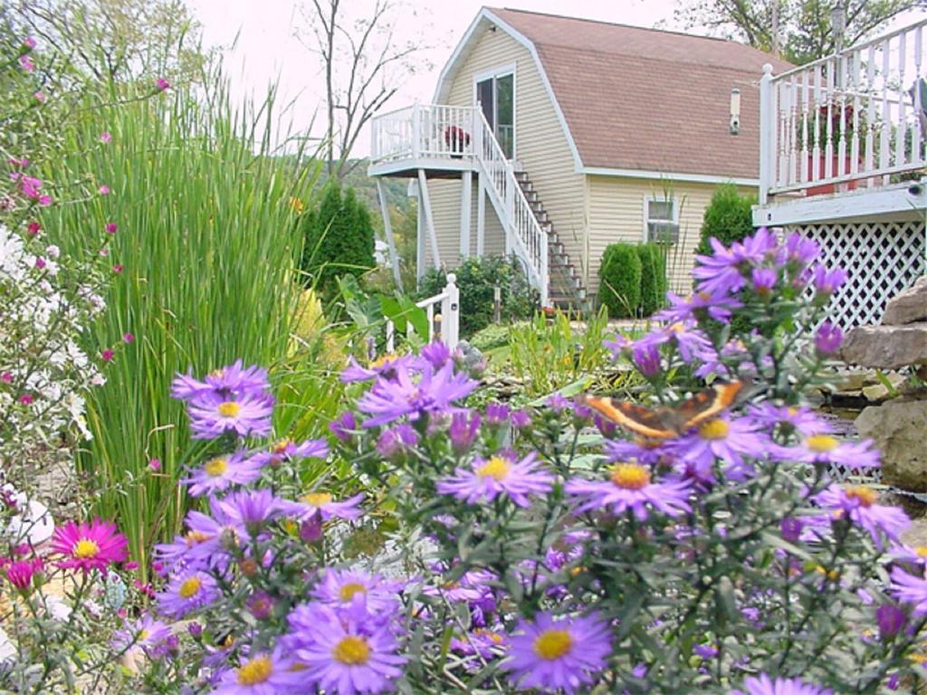 Trickling Waters Retreat Villa Marquette Exterior foto