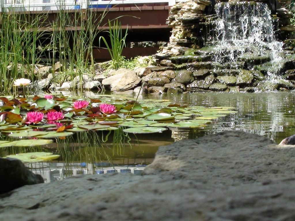 Trickling Waters Retreat Villa Marquette Exterior foto