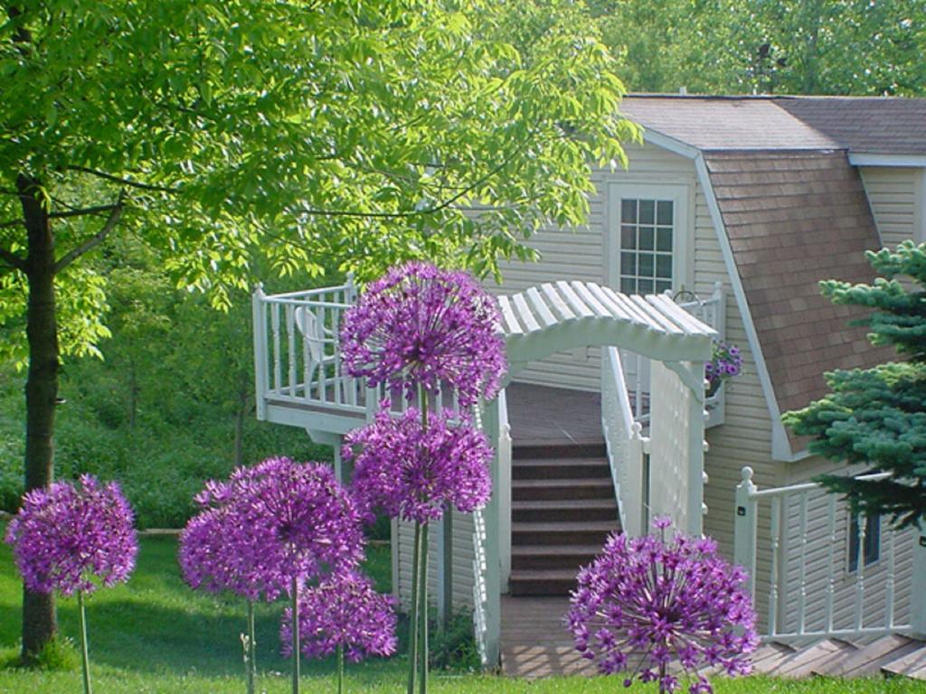 Trickling Waters Retreat Villa Marquette Exterior foto